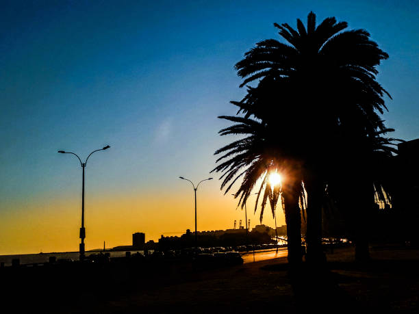 Sunset urban coastal scene, montevideo city, uruguay