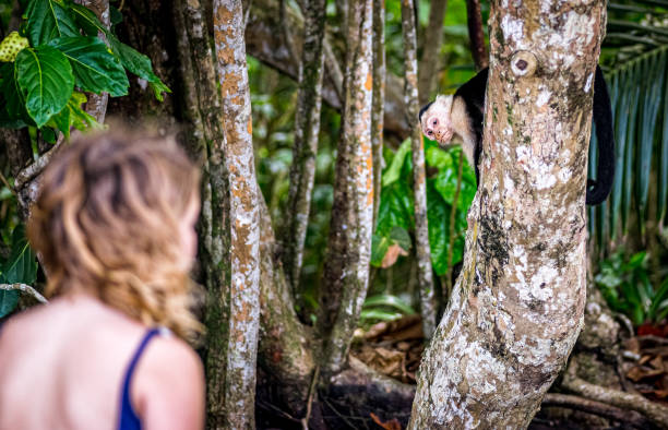Girl spots a wild monkey in the rainforest