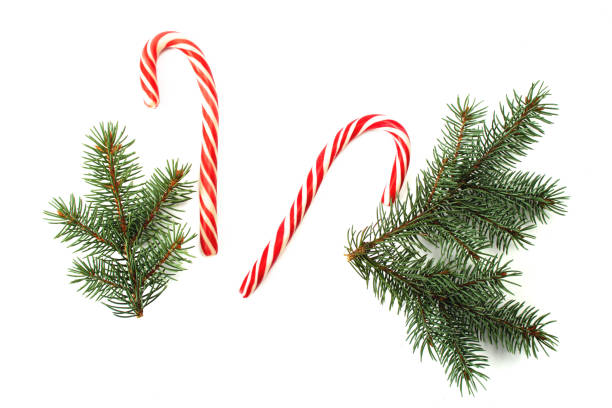 istock Christmas decorations, fir tree branches isolated on white background. Flat lay, top view, copy space. Christmas, winter, new year concept. Christmas composition for design. 1277205726