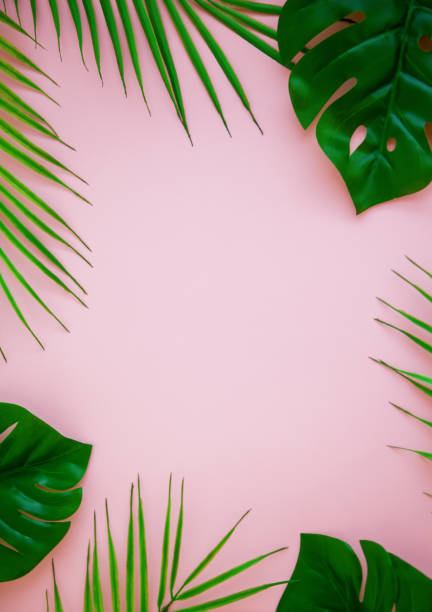 istock Tropical green leaves on a pink background 1277208642