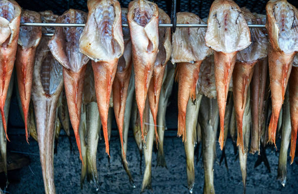 istock Fresh fish hung up in a smoker for smoking. 1277208983