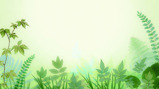 Green Nature Border Background of Leaves - Copy Space - Panoramic - Soft Focus - Photograph Montage