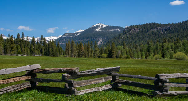 istock Meadow in northern California 1277210929