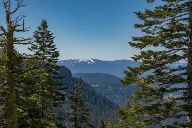 istock Overlook from Lassen Volcanic National Park 1277210934