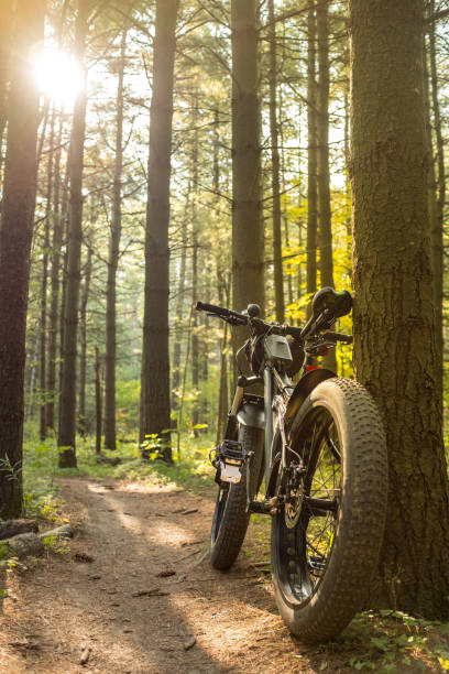 istock Fat bicycle on the outdoor trail 1277211965