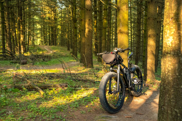 istock Fat bicycle on the outdoor trail 1277211966