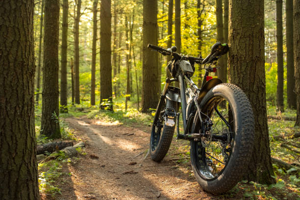 istock Fat bicycle on the outdoor trail 1277211997
