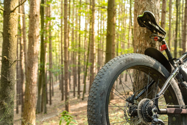 istock Fat bicycle on the outdoor trail 1277212022