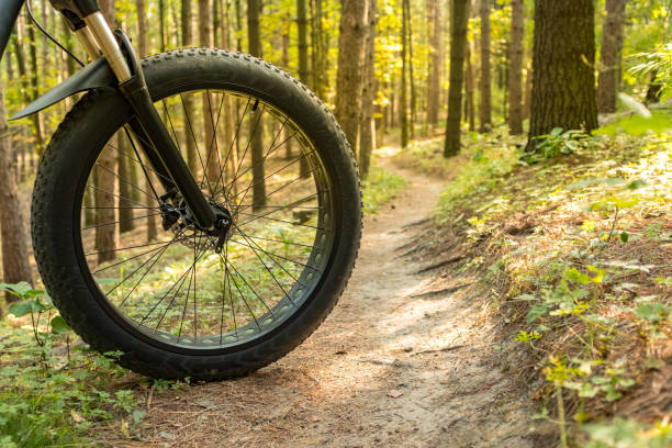 istock Fat bicycle on the outdoor trail 1277212057