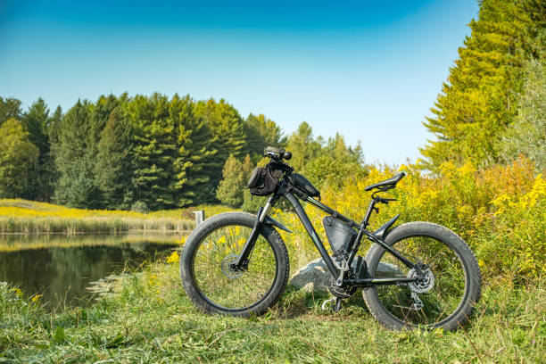 istock Fat bicycle by the pond 1277212074