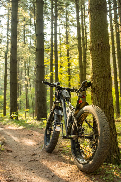 istock Fat bicycle on the outdoor trail 1277212358