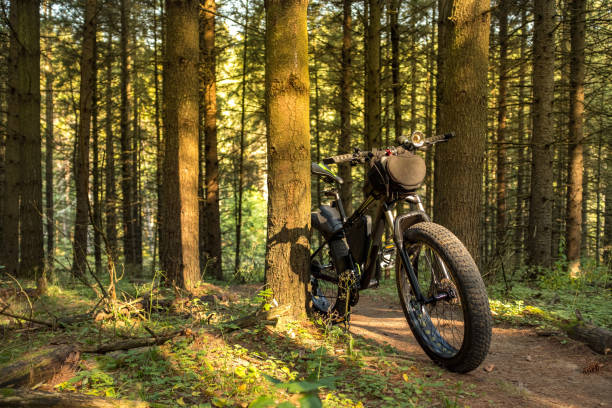 istock Fat bicycle on the outdoor trail 1277212361