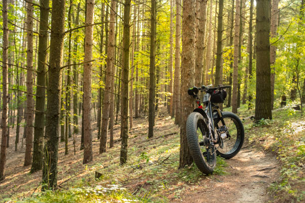 istock Fat bicycle on the outdoor trail 1277212434