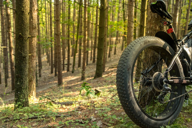 istock Fat bicycle on the outdoor trail 1277212464