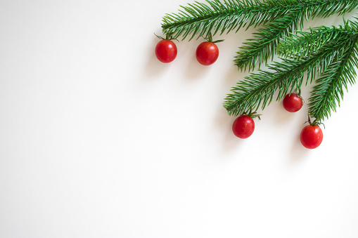 Christmas white background with fir branches and small red cherry tomatoes. Xmas, New Year's wallpaper. Winter holiday decorations isolated on white background with copy space. Flat lay, top view.