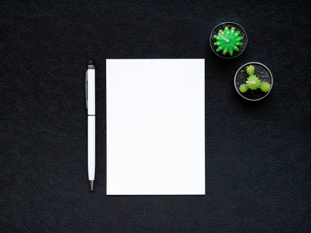 istock blank white paper, a pen and small cacti 1277213558