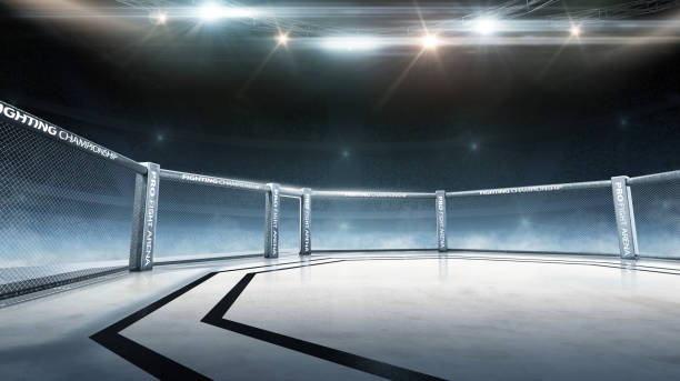 Fighting Championship. Fight night. 3D render MMA arena. Full tribune. MMA cage night. 3D rendering Fighting Championship. Fight night. 3D render MMA arena. Full tribune. MMA cage night. Sport combat sport stock pictures, royalty-free photos & images