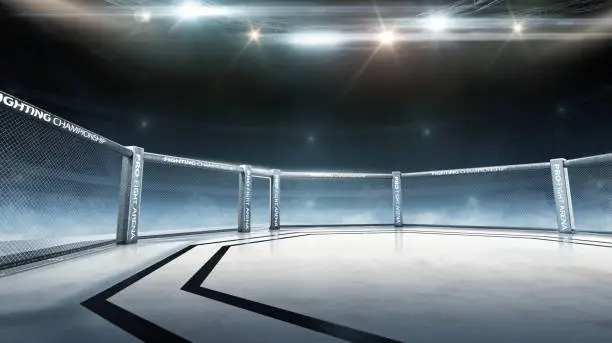 Fighting Championship. Fight night. 3D render MMA arena. Full tribune. MMA cage night. Sport