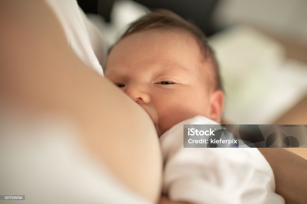 Jovem mãe amamentando seu bebê - Foto de stock de Amamentação royalty-free