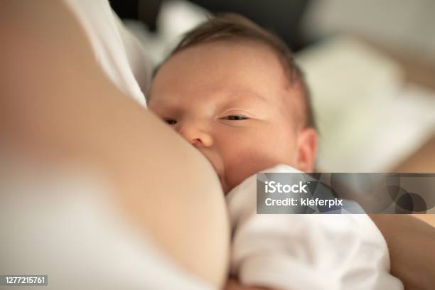 Foto de Jovem Mãe Amamentando Seu Bebê e mais fotos de stock de Amamentação - Amamentação, Bebê, Deitar