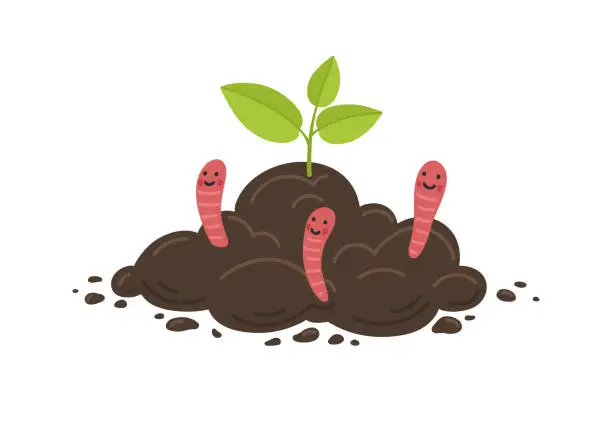 Vector illustration of Young plant growth from soil with red worms.