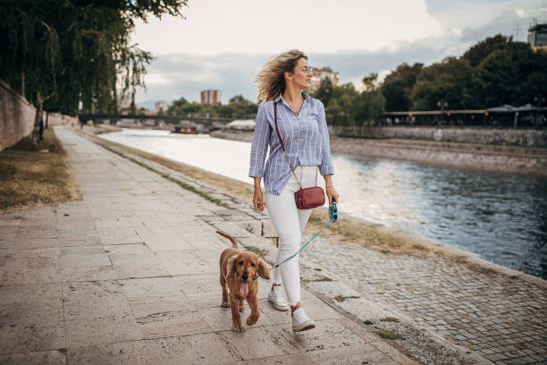 Beautiful woman walking her dog by the river One woman, beautiful young woman walking her cocker spaniel dog by the river in city. lady dog stock pictures, royalty-free photos & images
