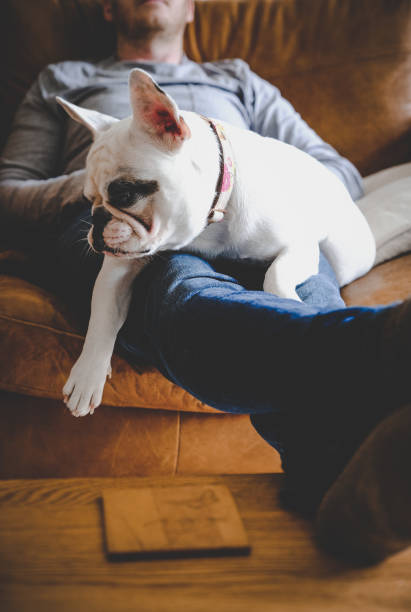 istock Relaxing with dog at home 1277220515