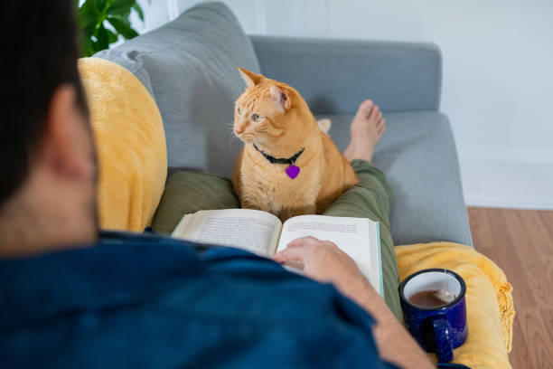istock Man with a ginger cat at home 1277220776