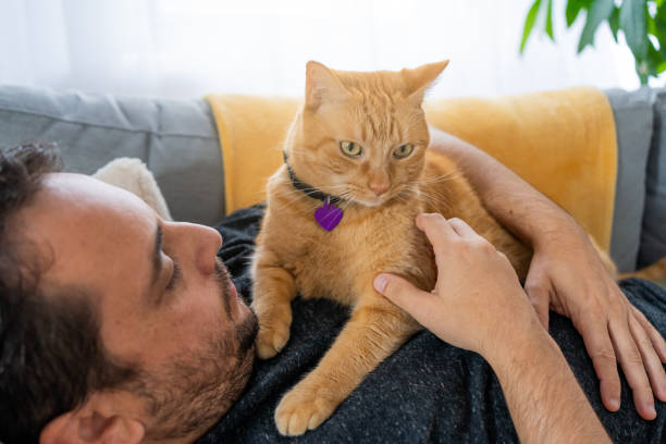 istock Man with a ginger cat at home 1277220790