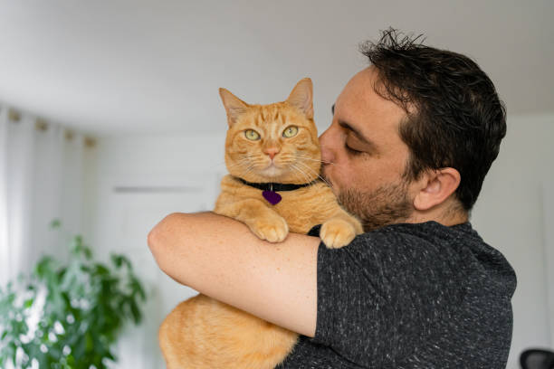 istock Man with a ginger cat at home 1277220793