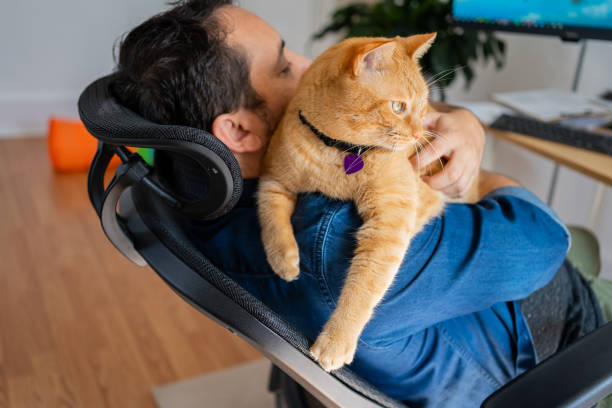 istock Man with a ginger cat at home 1277220810