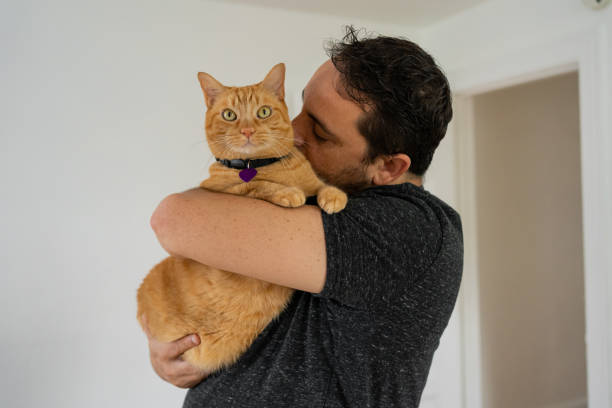 istock Man with a ginger cat at home 1277220820