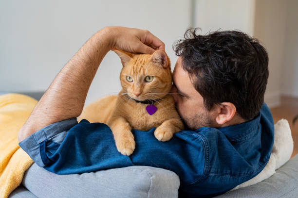 istock Man with a ginger cat at home 1277220844