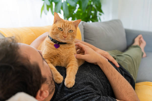 istock Man with a ginger cat at home 1277220871