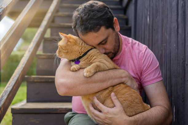 istock Man with a ginger cat at home 1277220878
