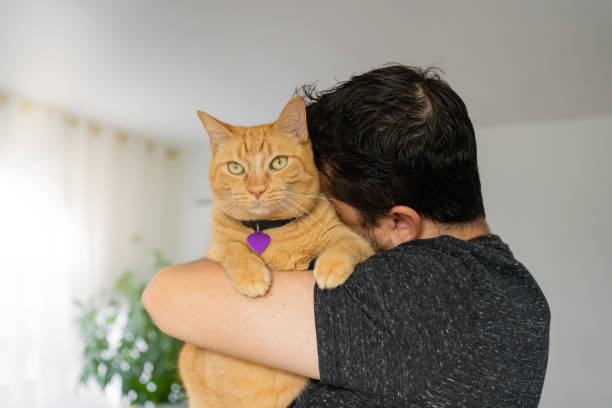 istock Man with a ginger cat at home 1277220885