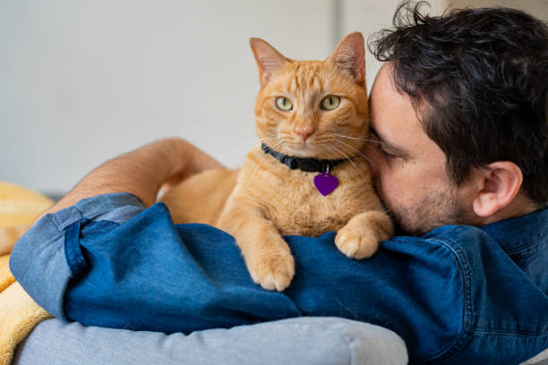istock Man with a ginger cat at home 1277220897