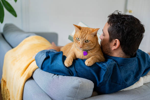 istock Man with a ginger cat at home 1277220919