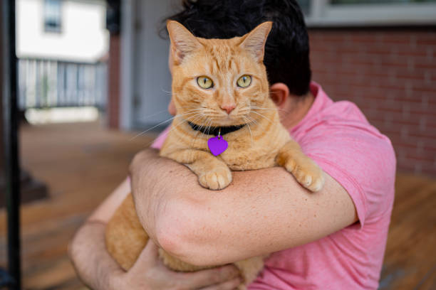istock Man with a ginger cat at home 1277220933