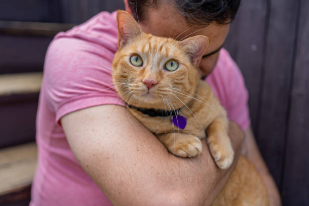 istock Man with a ginger cat at home 1277220939