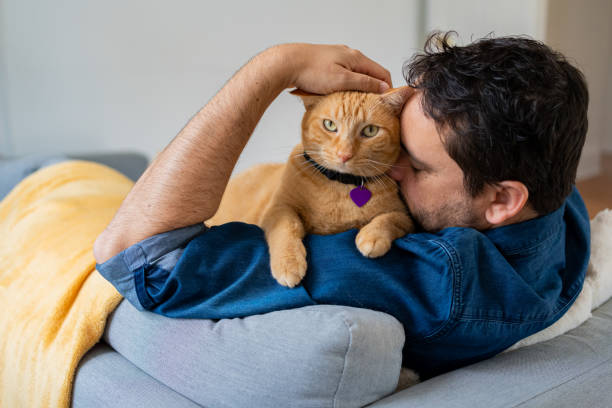 istock Man with a ginger cat at home 1277220943