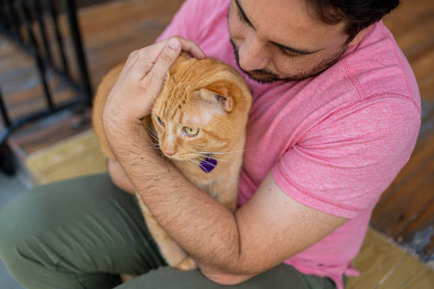istock Man with a ginger cat at home 1277220964