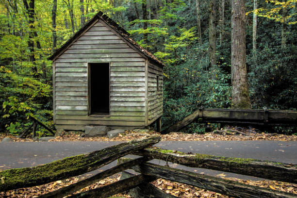 moinho histórico de grist apalaches nas montanhas esfumaçadas - gatlinburg great smoky mountains national park nature water - fotografias e filmes do acervo