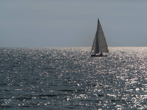 small sailboat sailing in a sunny day in a sparkling sea