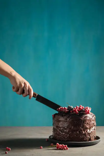 Chocolate cake with red currant frozen berries on top and female hand cutting knife vintage on blue background