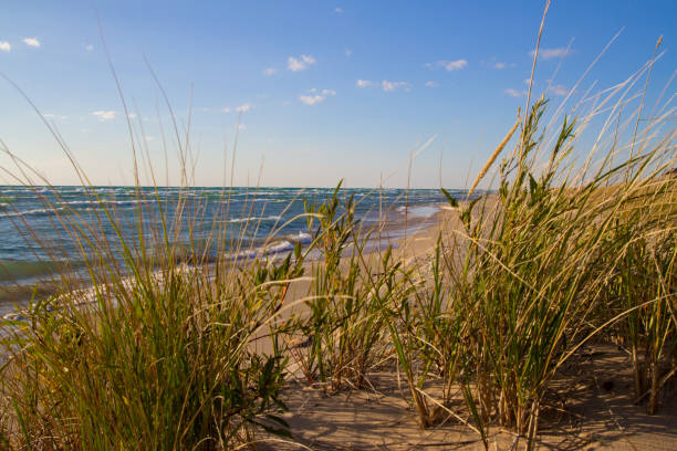 ミシガン湖沿岸の砂丘草と砂丘 - travel destinations lake michigan freshwater standing water ストックフォトと画像