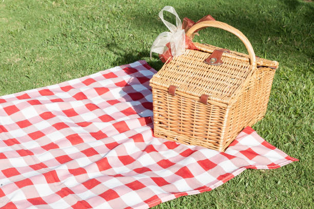 istock Picnic basket with a red and white tablecloth on the green lawn. 1277226427