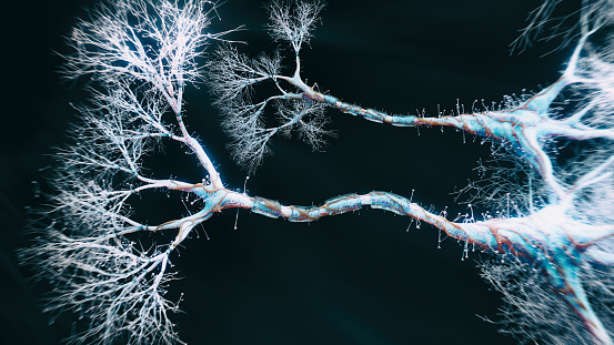 Neuron cell close-up view - 3d rendered image of Neuron cell on black background. SEM view  interconnected neurons synapses. Abstract structure conceptual medical image.  Synapse.  Healthcare concept.