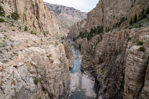 kanion i rzeka shoshone w buffalo bill dam w cody wyoming - shoshone river zdjęcia i obrazy z banku zdjęć