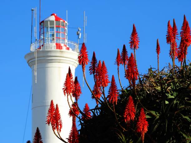 istock Colonia del Sacramento Old Lighthouse 1277233194